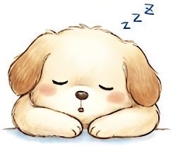ここわん