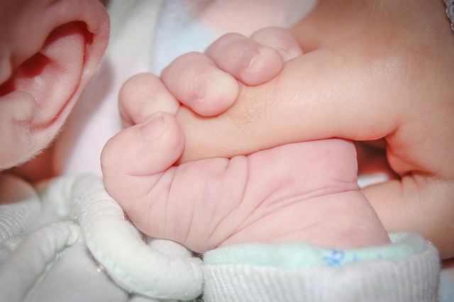 子どもの手をそっと握る親